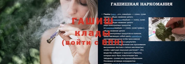 дмт Дмитровск