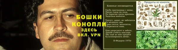ГАЛЛЮЦИНОГЕННЫЕ ГРИБЫ Дмитриев