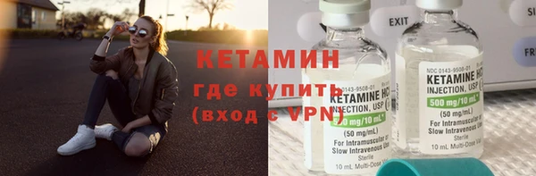 ГАЛЛЮЦИНОГЕННЫЕ ГРИБЫ Дмитриев