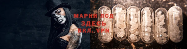мяу мяу кристалл Дмитров