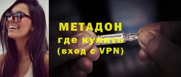 ГАЛЛЮЦИНОГЕННЫЕ ГРИБЫ Дмитриев