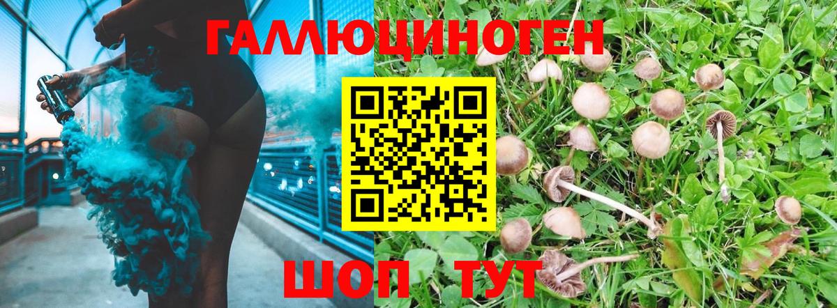 Псилоцибиновые грибы Psilocybe  Вход с VPN  Лесной  Галлюциногенные грибы MAGIC MUSHROOMS 